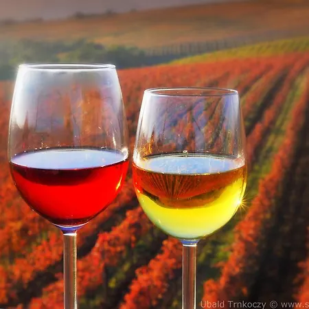 Lipa, & Bistro 3* Nova Gorica