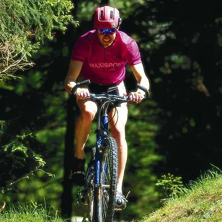 Lipa, & Bistro فندق نوفا جوريكا