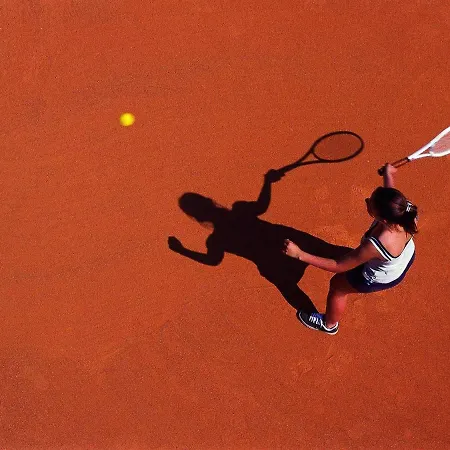 فندق Lipa, & Bistro 3*