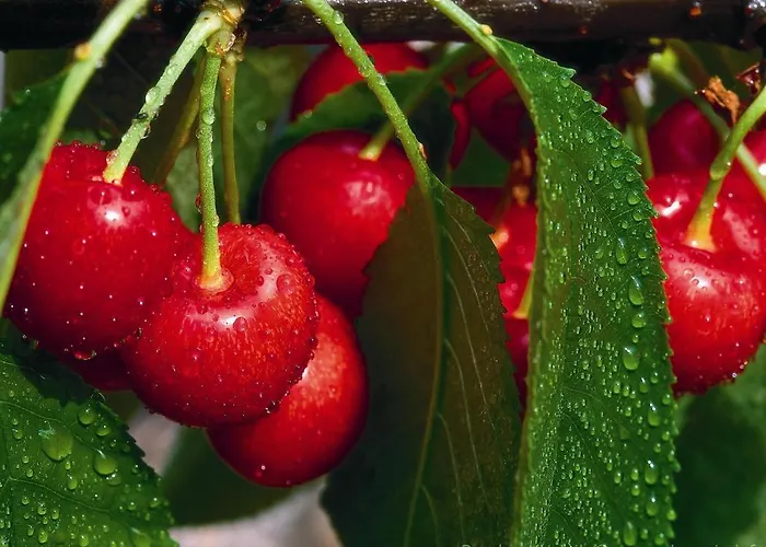 Lipa, Hotel&bistro 3*