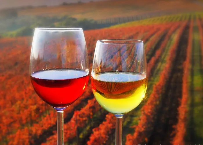 Lipa, Hotel&bistro 3* Nova Gorica