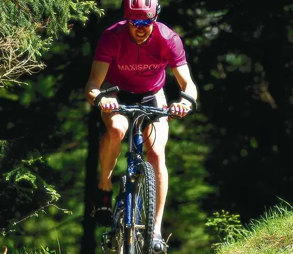 Lipa, & Bistro Hotel Nova Gorica